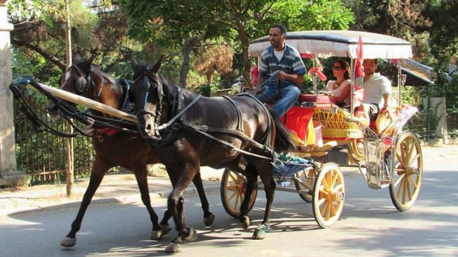 Faytonlar İçin Çözüm Aranıyor!