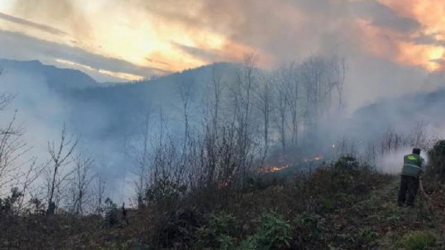 Karadeniz’de Büyük Yangın! 58 Bölge…