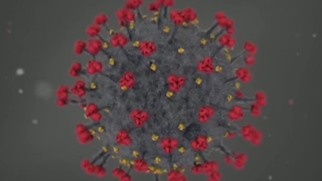 Özgül Bağışıklık Nedir? 