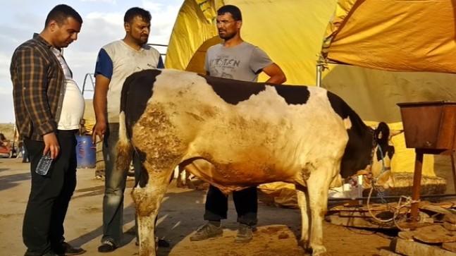 Kurban Bayramı İkramiyesi Ne Zaman Verilecek? Kimler Yararlanabilir?